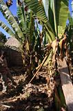 Ethiopia - Chencha - Etnia Dorze - 05